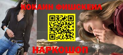 крисы Будённовск