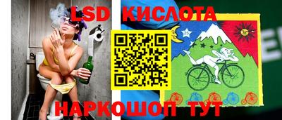 крисы Будённовск