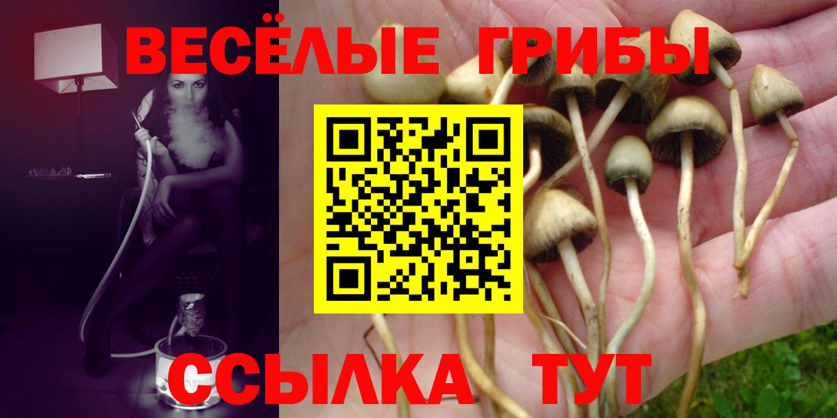 Галлюциногенные грибы Psilocybine cubensis Лиски