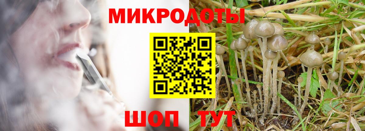 Лиски  Псилоцибиновые грибы GOLDEN TEACHER  где можно купить наркотик  Псилоцибиновые грибы ЛСД  Вход с VPN 